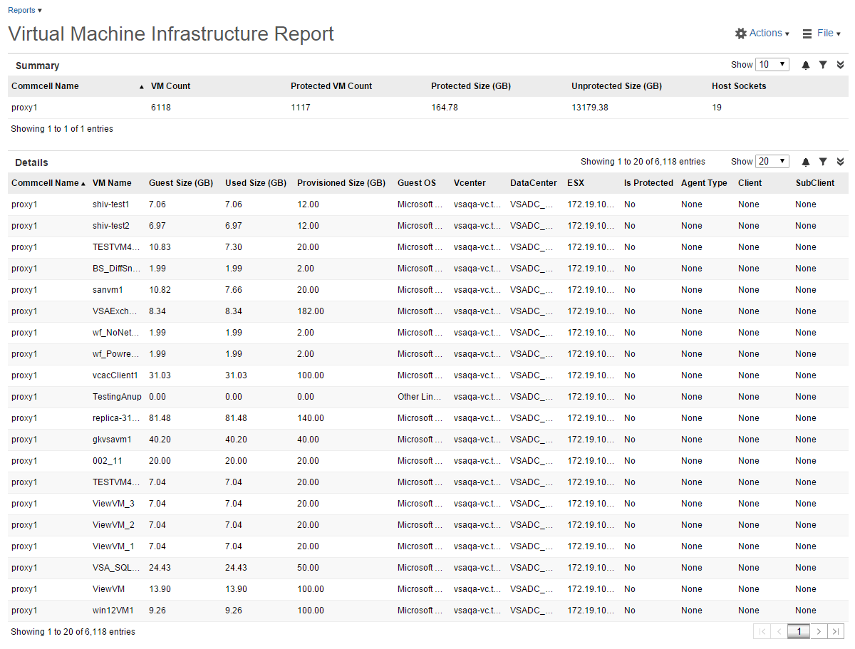vmware_infrastructure_report