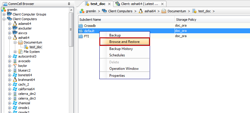 commcell_browser_subclient