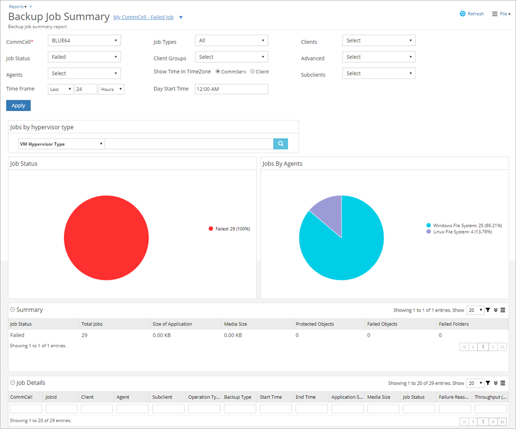 backup job summary report backup failures view