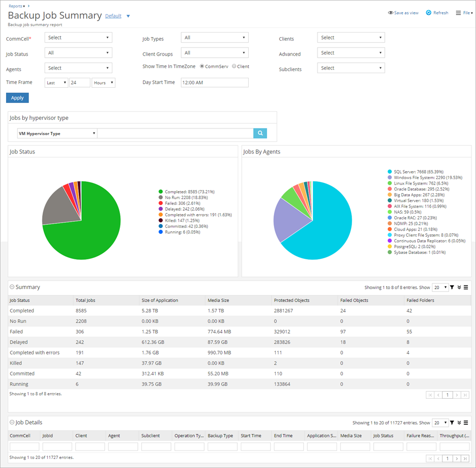 backup job summary report default view