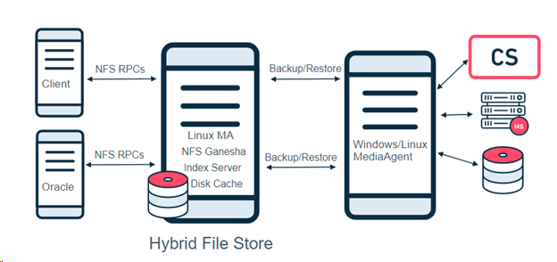 Hybrid File Store Architecture