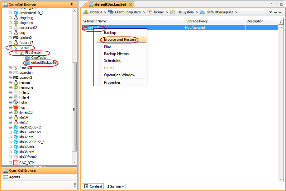 Restore - Solaris File System