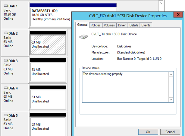 Verify CVLT_FIO Disks (1)