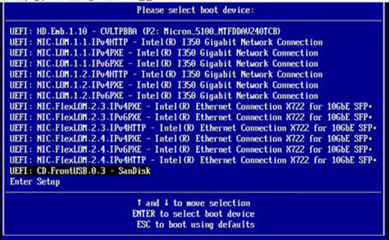 Setting up Fujitsu PRIMERGY RX2540 M5 (6)