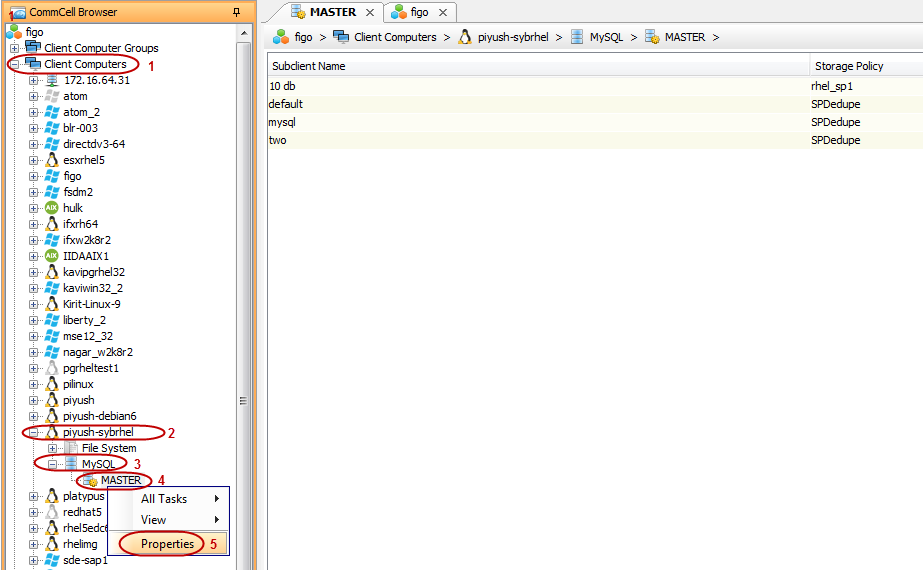 config_instance