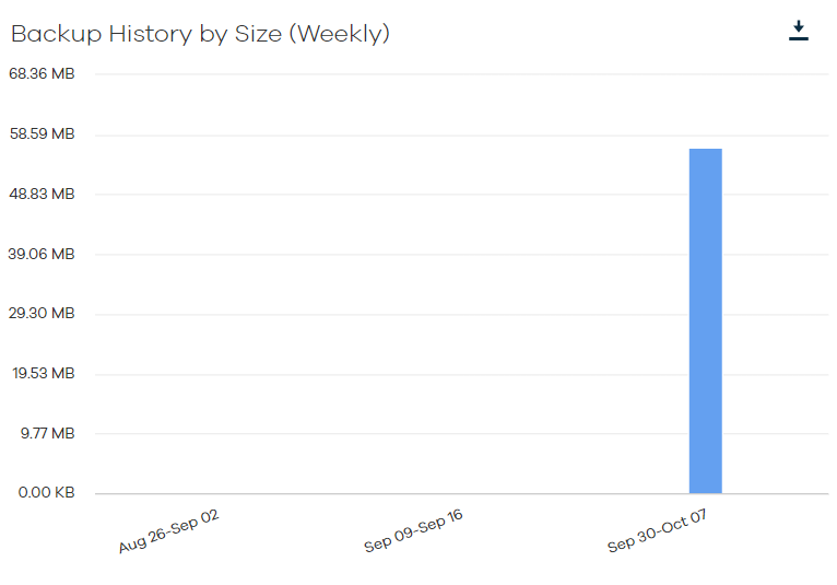 Data Views for the Google Workspace Backup History Report (1)