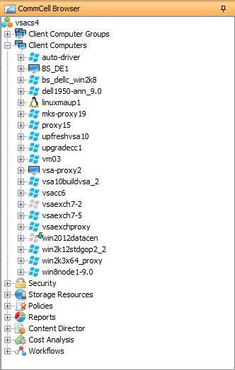 display_client_vms