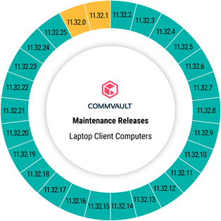 laptop_client_computer_status_for_maintenance_release