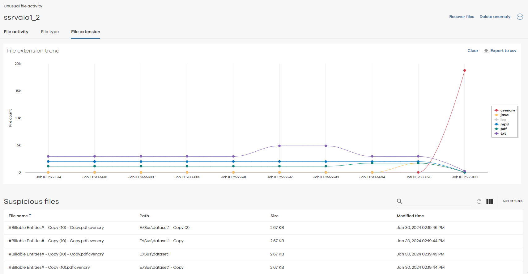 file extension report)