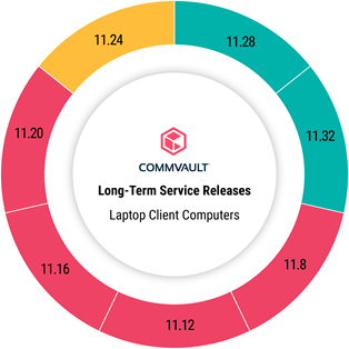 laptop_client_computer_status_for_LTS_release