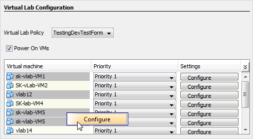 vlab_configure_multi_vms