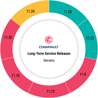 server_status_for_LTS_release