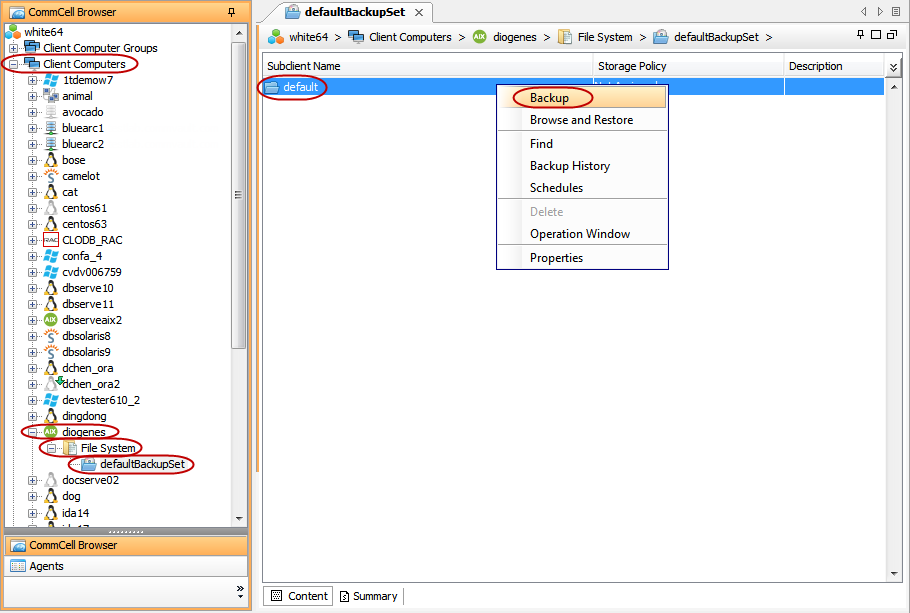 imagesbackupunix_allaix_backup_basic1.png