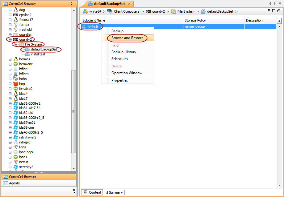 imagesrestorelinuxhpux_browse_restore2.png