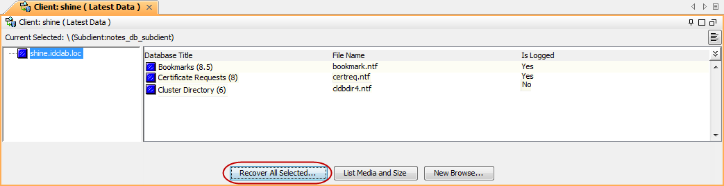 restore_basic_3