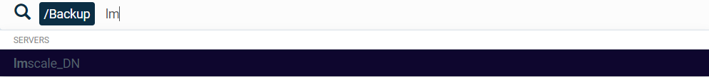 Backup Command Entity Selection in the Global Search Bar