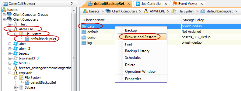 image_data_restore
