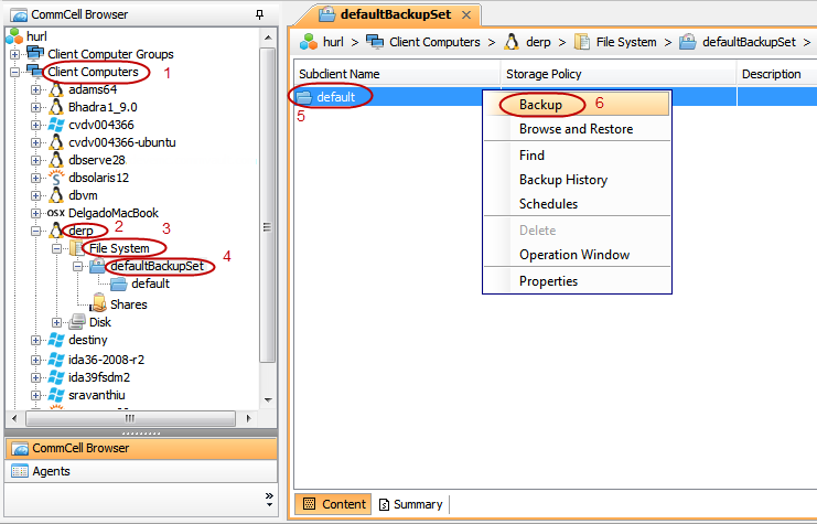 imagesbackupunix_allbackup_basic1.png