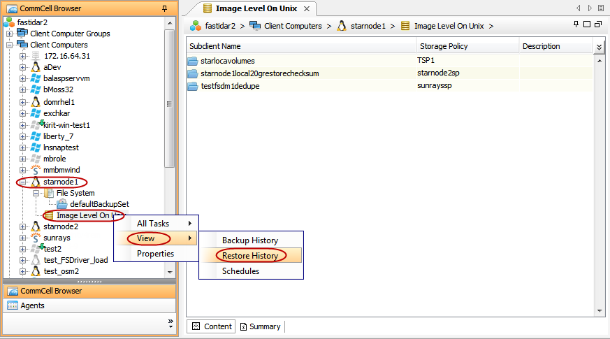imagesrestoreimage_levelrestore_basic6.png