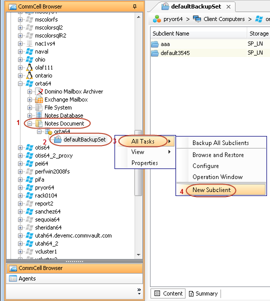 new_subclient - lotus_notesnew_subclient.png