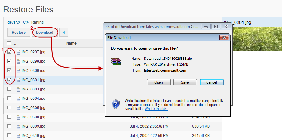 download_file