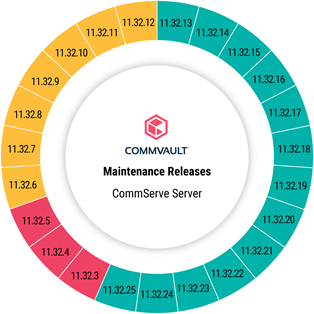 commserve_server_status_for_maintenance_release