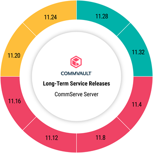 commserve_server_status_for_LTS_release