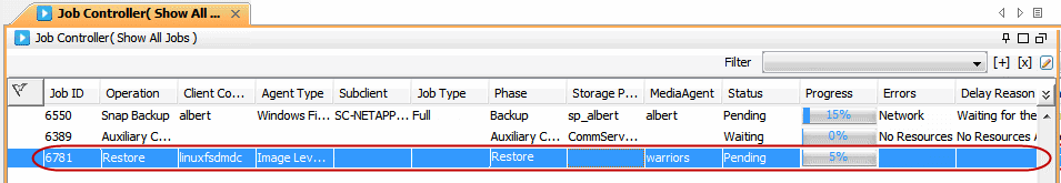 imagesbackupimage_levelrestore_basic5.png