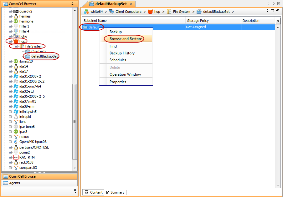 imagesrestorelinuxfreebsd_browse_restore2.png