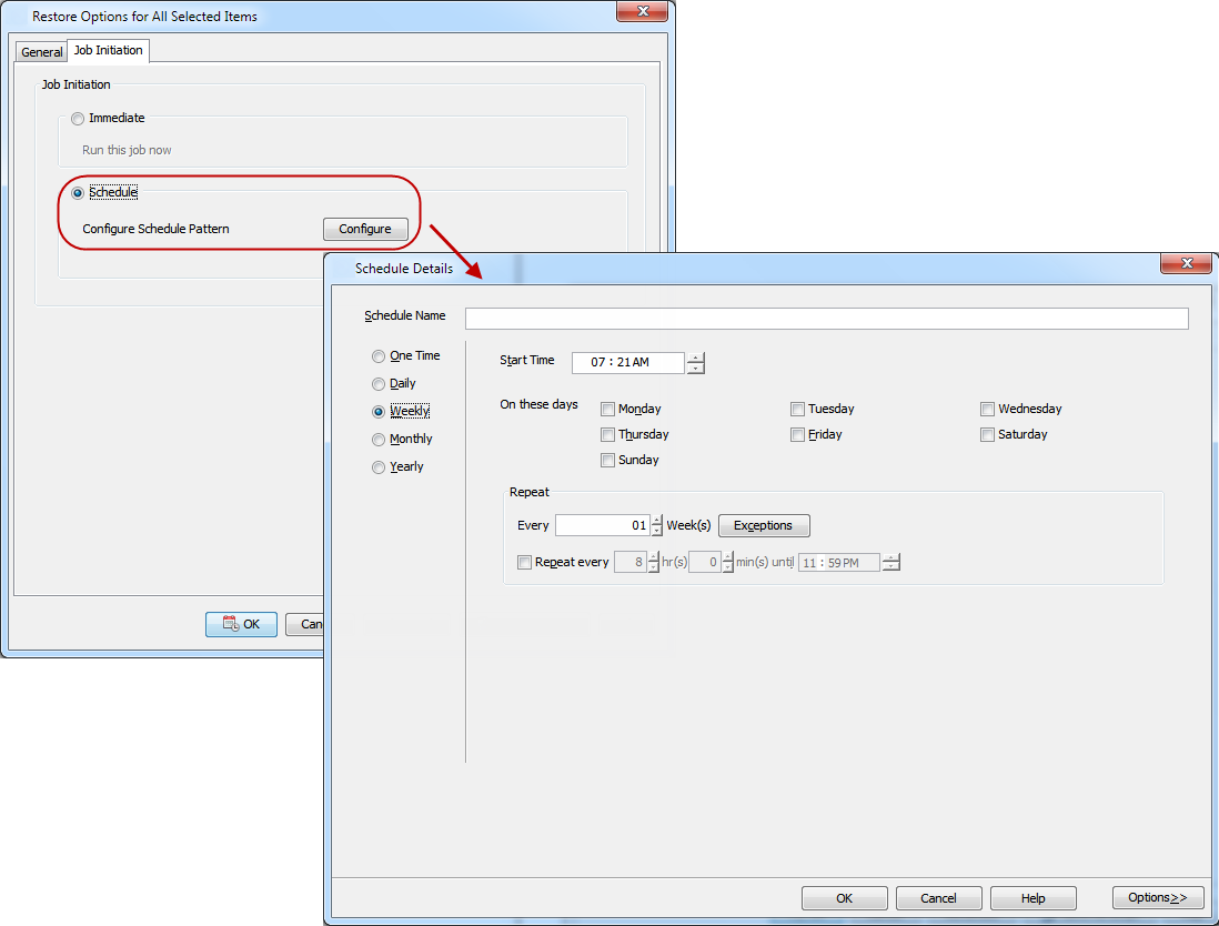 imagesrestoreopenvmsschedule_details.png