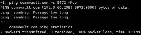 FAQ - How do I know whether my network supports the MTU I want to use? (4)