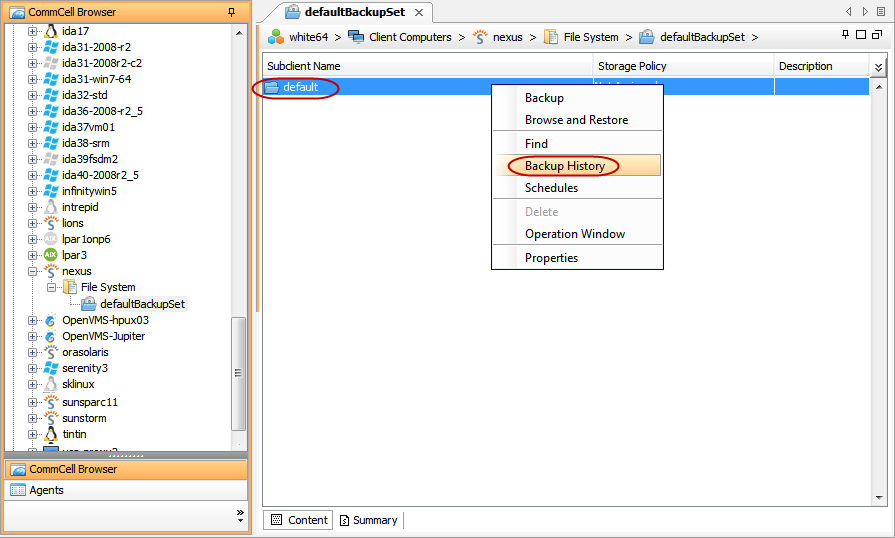 imagesbackupunix_allsol_backup_basic4.png