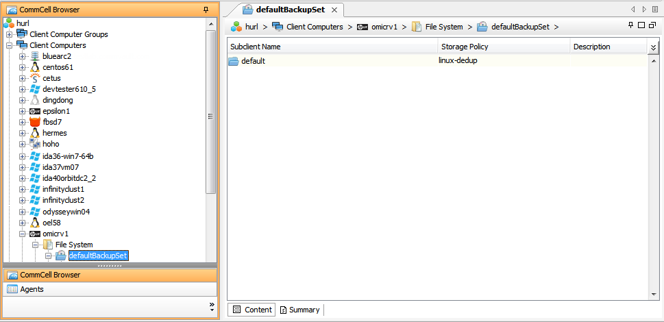 imagesconfigurationunixunderstanding_comcell_hpux.png