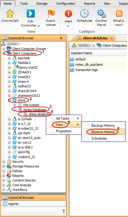 restore_basic_6