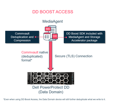Data Domain Boost Access (1)