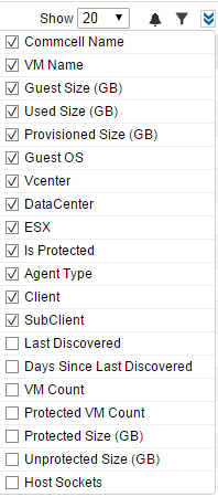 vmware_infrastructure_report_controls