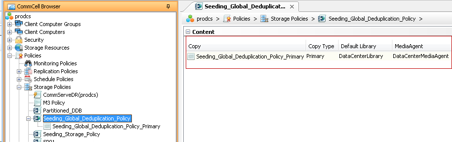 Seeding a Deduplicated Storage - Prerequisites (4)