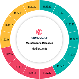 media_agent_status_for_maintenance_release