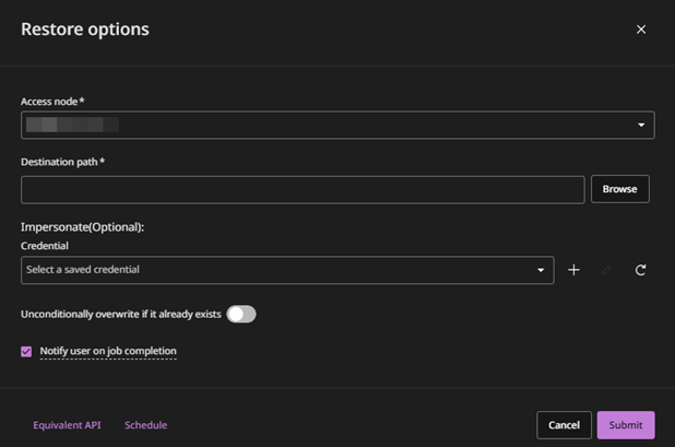 restore-vm-disk-files-options
